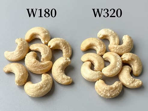 W180 vs W320: Commercial Comparison