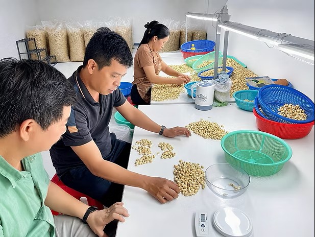 Vigor Global processing facility